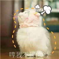 猫头像动漫搞笑8