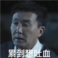 陌陌真人头像认证有什么用途10