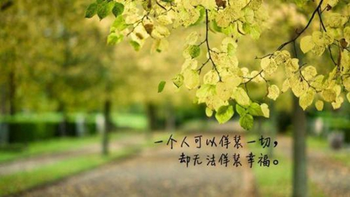 数学公式头像女生霸气5